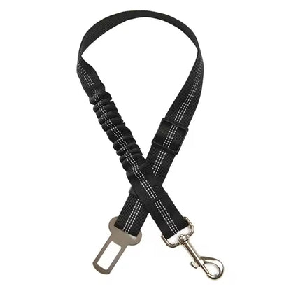 25ae7412c55a8b85c485231f07106c20